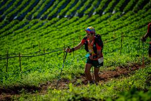 BIB: 
                            <button type="button" onclick="openModal(19161186)" class="btn btn-primary btn-sm float-right btn-popup" data-toggle="modal" data-target=".modal-high-quality">
                        <i class="fas fa-shopping-cart"></i> Add to Cart
                    </button>
                                            <button type="button" onclick="isThisMe(19161186, true)" class="btn btn-success btn-sm float-right btn-popup btn-isme hidden" data-toggle="tooltip" data-placement="bottom" title="นี่คือรูปของคุณใช่ไหม คลิกที่นี่เพื่อเอาเข้าอัลบั้ม">
                        <i class="fas fa-plus"></i> Add to album
                    </button>
                    <button type="button" onclick="isThisMe(19161186, false)" class="btn btn-warning btn-sm float-right btn-popup btn-isnotme hidden">
                        <i class="fas fa-ban"></i> Remove from album
                    </button>